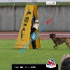 IMG_9466 (2)